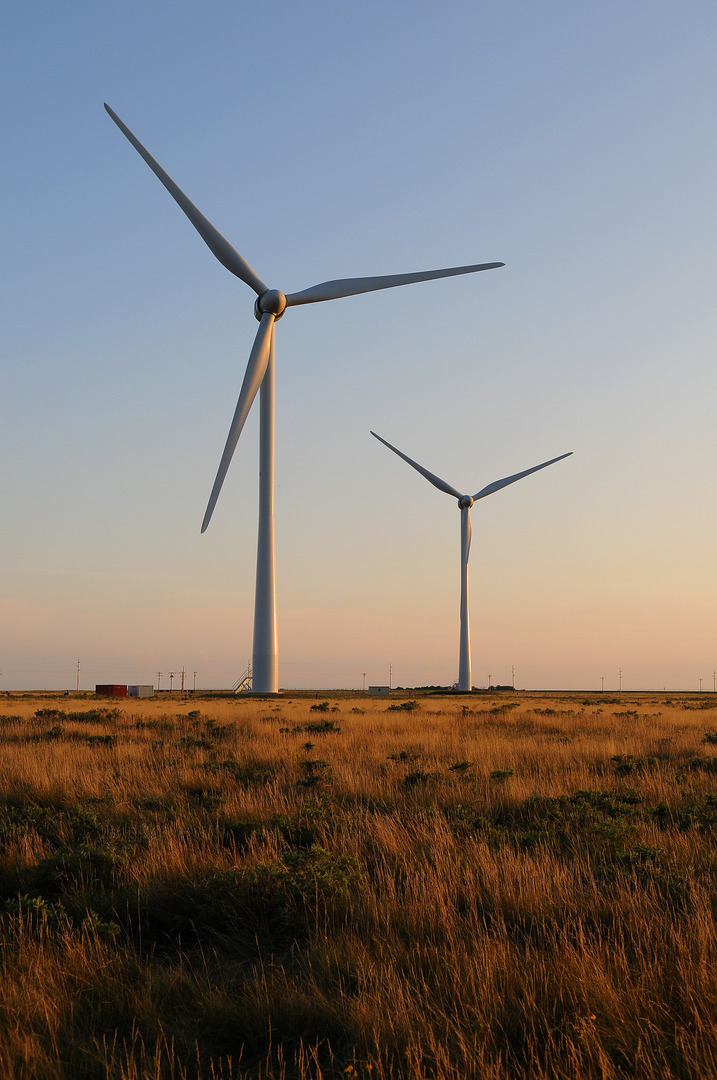 Portrait of W. Boyd Jones