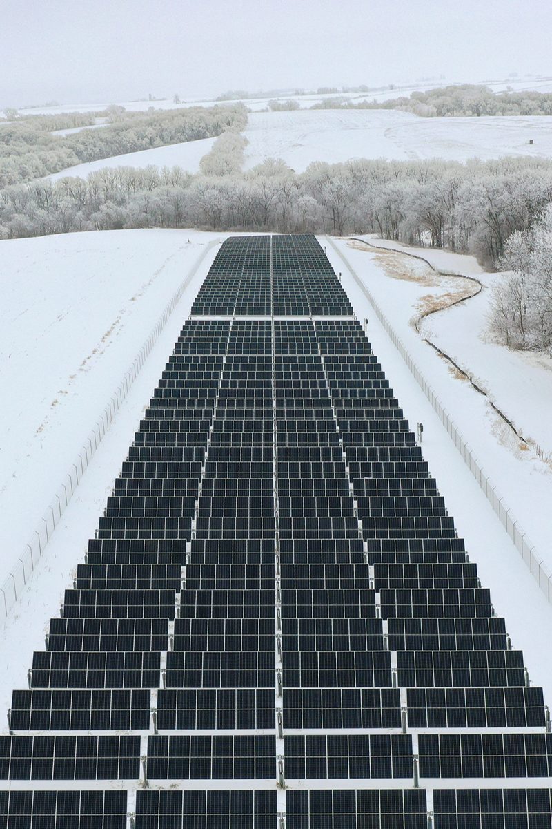 19_036_N56_cropped_800x1160